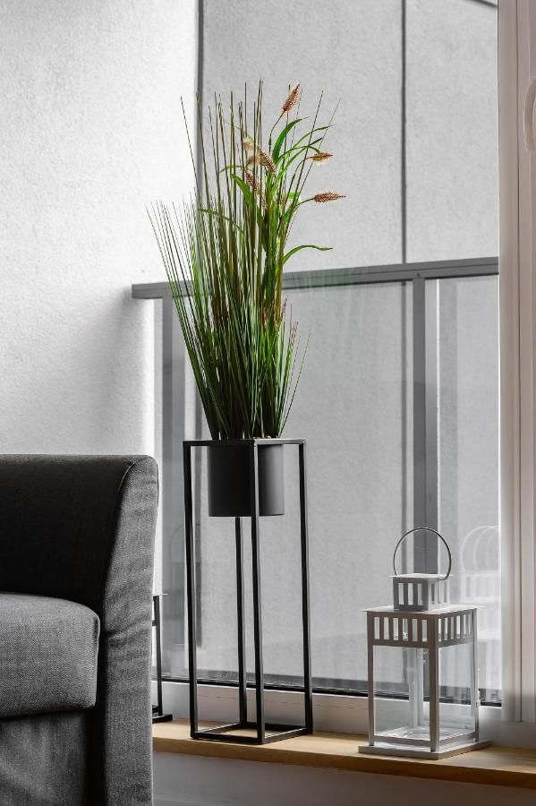 Apartmán Alfa 50 Włocławek Exteriér fotografie